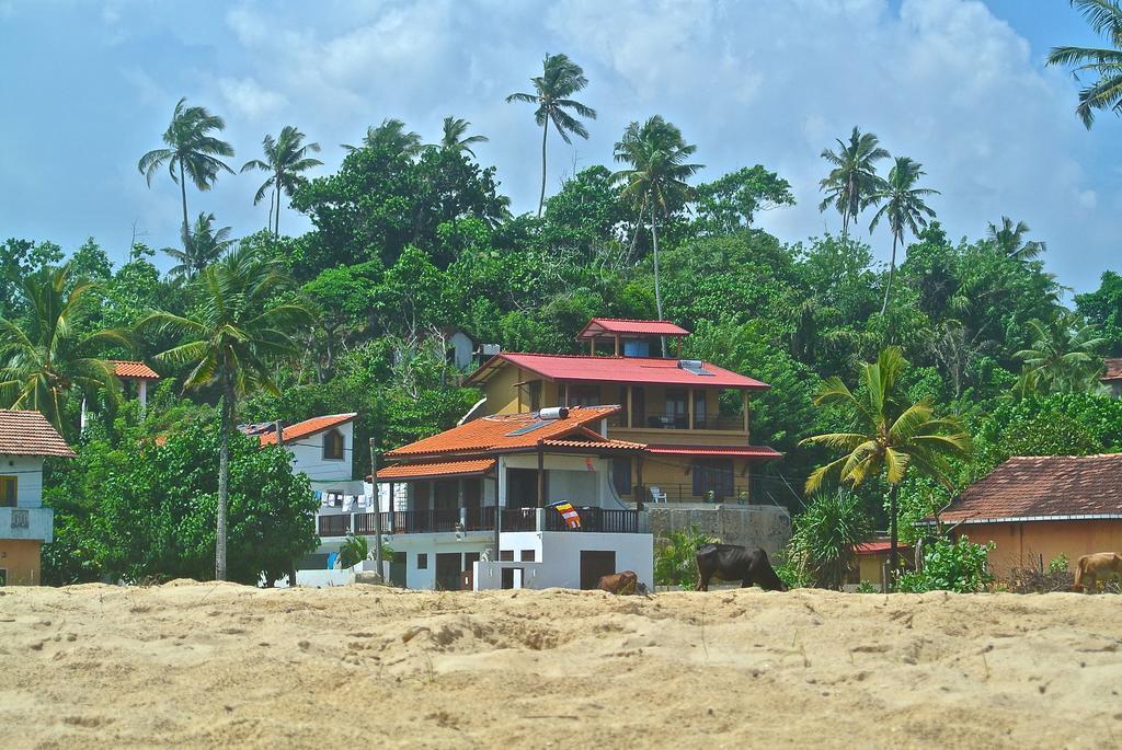 Lion'S Rest Hotel Weligama Bagian luar foto