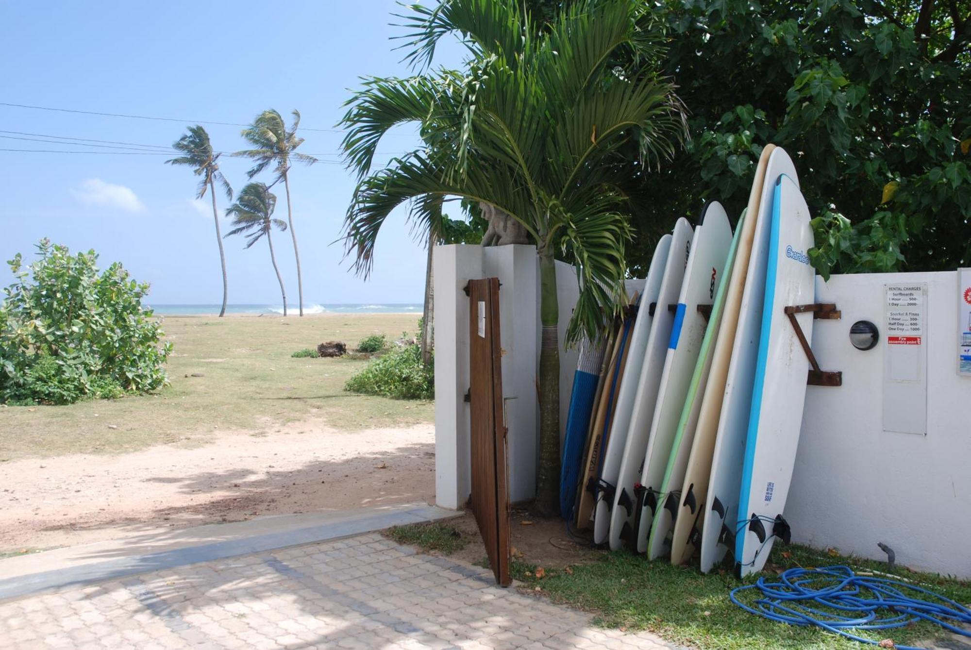 Lion'S Rest Hotel Weligama Bagian luar foto