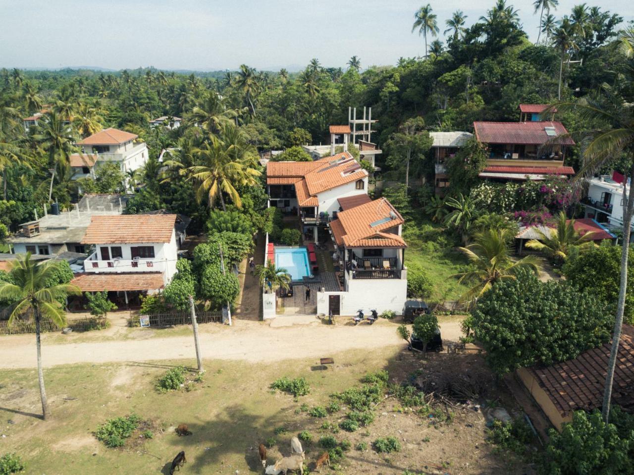 Lion'S Rest Hotel Weligama Bagian luar foto